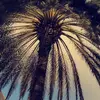 Kaycie Smith - @kayce1108 - TikTok