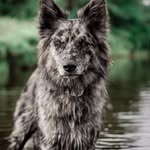 Kaydenhutton - @kaydenhutton7 - Instagram