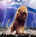 Albert Kaye - Facebook