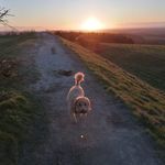 Kaye Andrews - @kayeandrews38 - Instagram