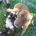 Kay Barnes - Facebook