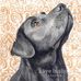 Kaye Bishop Studios - Facebook