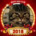 Gaye Borgogno - Facebook