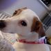 Kay Bowen - Facebook
