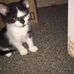 Kaye Boyer - Facebook