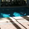 Kay Brock - @kay.brock5 - TikTok