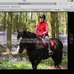 Kaye Brockwell - @kayebrockwell - Instagram