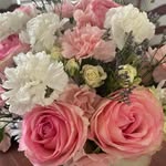Kaye McLellan Brock - @kaye_brock2023 - Instagram