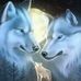 Kaye Buck Amy - Facebook