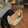 Kay Burch - @kay.burch - TikTok