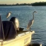 Kaye Burch - @kayeburch - Instagram
