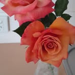 Kaye Carson - Facebook