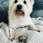 Kaye Chambers - @ktoria69 - Instagram