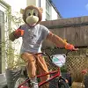 Kay Collier - @restwithjosephandfriends - TikTok