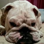 Kay Conner - @wkc803 - Instagram