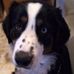 Kaye Corcoran - Facebook