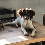 Kate Cullen - @wanderingwithmax - Instagram