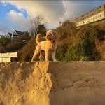 Kate Cullen - @katecullen80 - Instagram