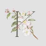 Kate Cullen Photography & Consultancy - @katecullenstyle - Instagram