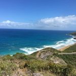 P Kaye Dalton - @pkayedalton - Instagram