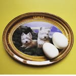 Kate Davidson - @howdidkatyhavehereggs - Instagram
