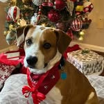 Kaye Lincks - @kaye.davidson.129 - Instagram