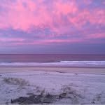 Sally Kaye Davidson - @_fleuressence_ - Instagram