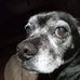 Kay Davis - Facebook