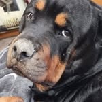Kaye Dawson - @kayedawsonnz - Instagram