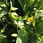 Kaye Dodge - @kayedodge - Instagram