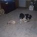 Kaye Donovan - Facebook