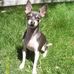 Kaye Dowd - Facebook