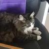 Kaye Dowell - @kaye.dowell4 - TikTok