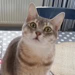 Kate Drew - @katedrew22 - Instagram
