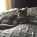 Kay Duffy - Facebook