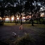 Kaye Eldridge - @kayeeldridge - Instagram