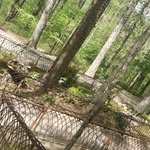 kaye ellis - @mrniceguy103 - Instagram