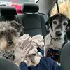 Kaye Ellis - @kaye.ellis - TikTok