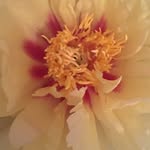 Sharon Kaye Estes - @skestes59 - Instagram