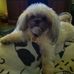 Kaye Farmer - Facebook