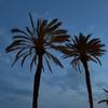 Kay Finney - @kayfinney8 - TikTok