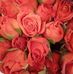 Kaye Vaughn Finney - Facebook