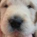 Kaye Forrest - Facebook