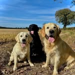 Kay Gamble - @kay.gamble.39 - Instagram