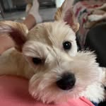 Kaye Gardner - @kaye_gardner - Instagram