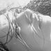 Kay Garrett - Facebook
