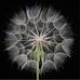 Kaye Garrett - Facebook
