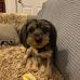 Kaye Gentry - Facebook