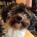 Kaye Goodman - Facebook