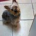 Kaye Goodman - Facebook